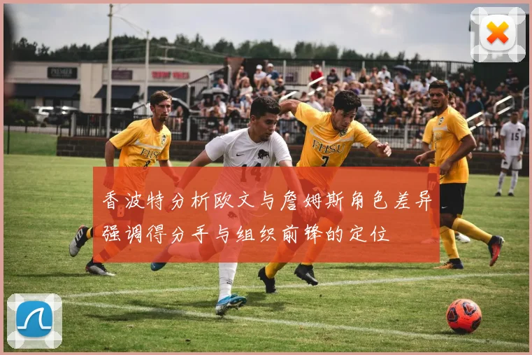 香波特分析欧文与詹姆斯角色差异强调得分手与组织前锋的定位