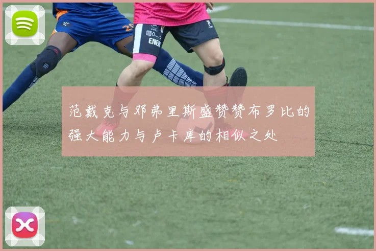 范戴克与邓弗里斯盛赞赞布罗比的强大能力与卢卡库的相似之处