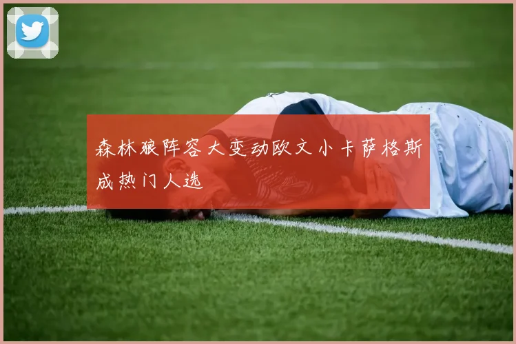 森林狼阵容大变动欧文小卡萨格斯成热门人选