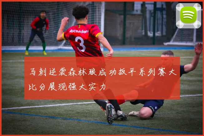马刺逆袭森林狼成功扳平系列赛大比分展现强大实力